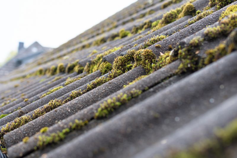 Contact About Roof Moss Removal Services