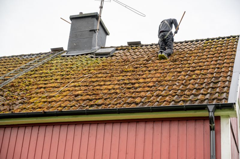 Local Roof Moss Removal Services pros at work