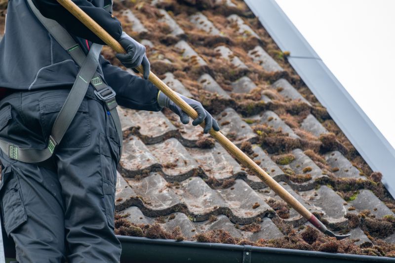 Products For Roof Moss Removal Service in use