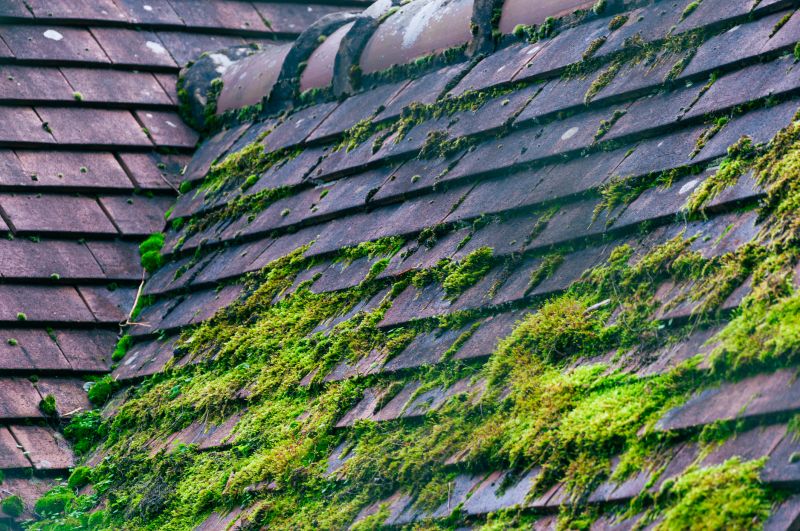 Moss-covered Roof Before Removal