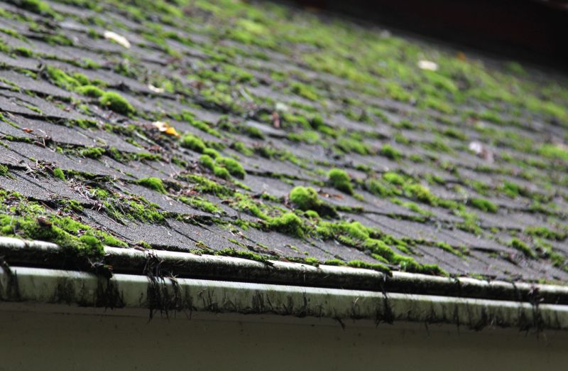 Spring Roof Moss Removal
