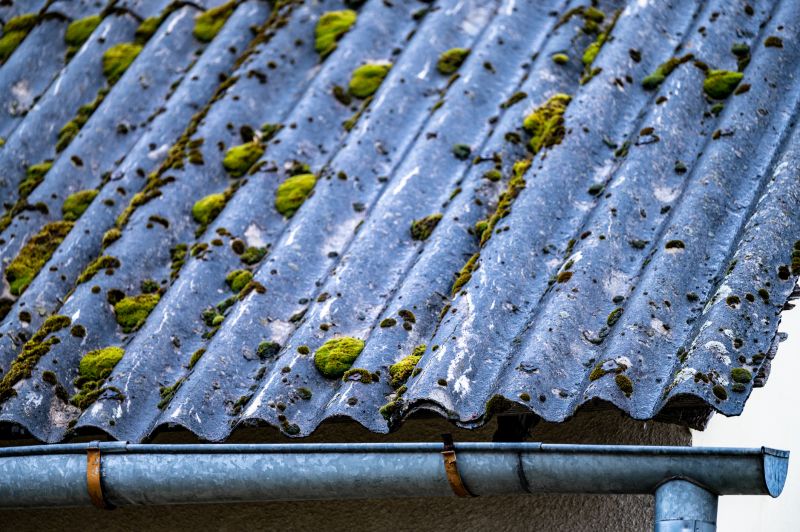 Roof Moss Removal Services