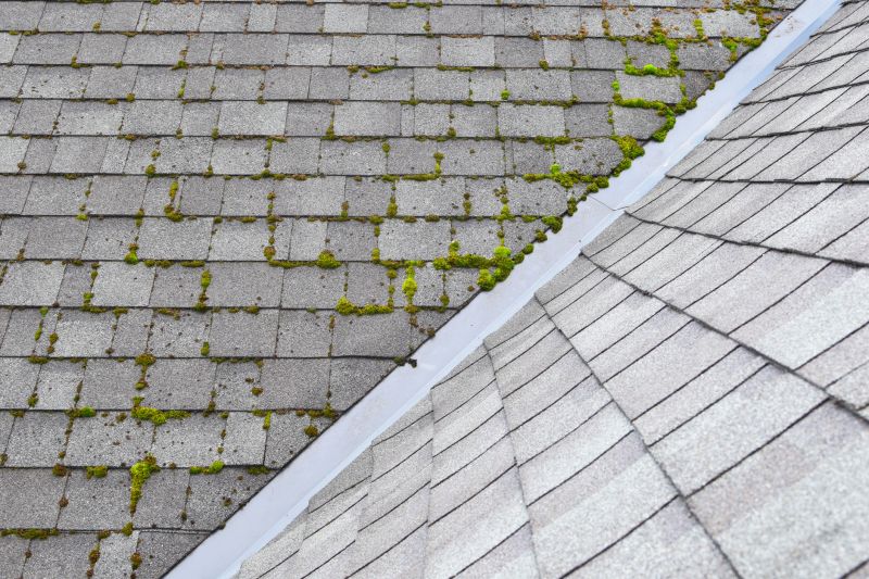 Roof Moss Removal Services