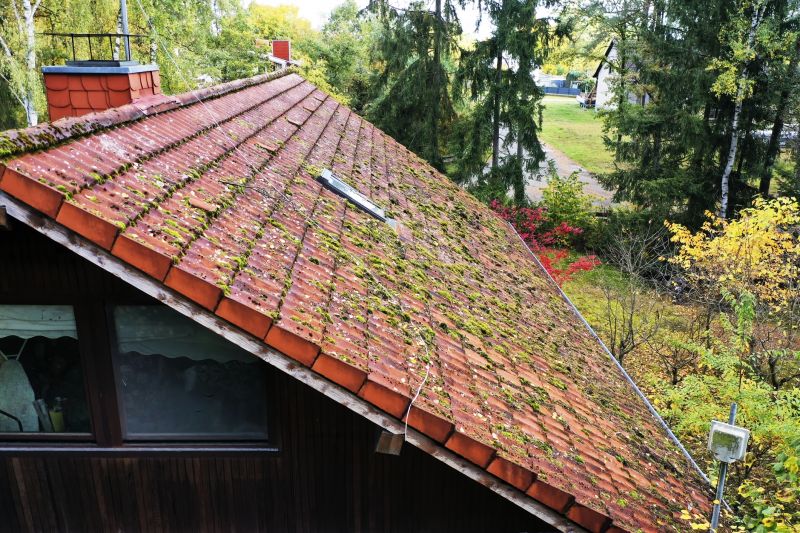 Roof Moss Removal Services